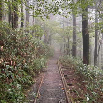 安心の登山道まで
戻って来ました！