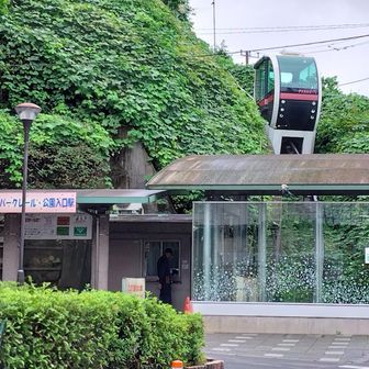 お目当ての "あすかパークレール" の「アスカルゴ」。
モノレールとして紹介されますが、このようなスロープカーは法規上(斜行)エレベーター扱いなので、鉄道(軌道)ではありません。

↓WiKi先生
https://ja.wikipedia.org/wiki/%E9%A3%9B%E9%B3%A5%E5%B1%B1%E5%85%AC%E5%9C%92%E3%83%A2%E3%83%8E%E3%83%AC%E3%83%BC%E3%83%AB