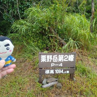 二峰山頂（旧本峰）