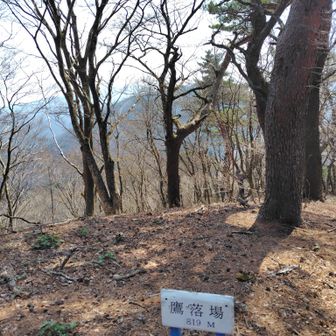 そんなに展望は良くないです