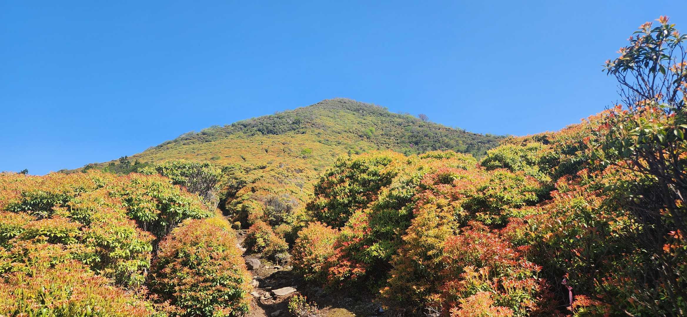 めっちゃ美しい、市房山✨️