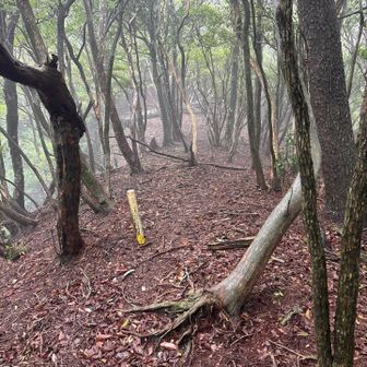 稜線の上を