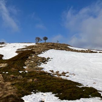 この辺から爆風🌪️