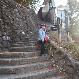 無事下山😁
下りの階段は緩やかでした
