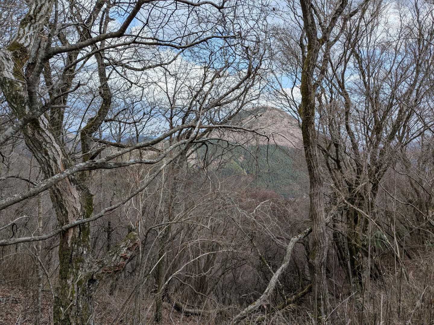 矢倉岳が見えます。ぐるっと歩いてきました✨️
松田聖子メドレーはまだ続いているので、下山時の私はあまり話すことがありませんでした😅