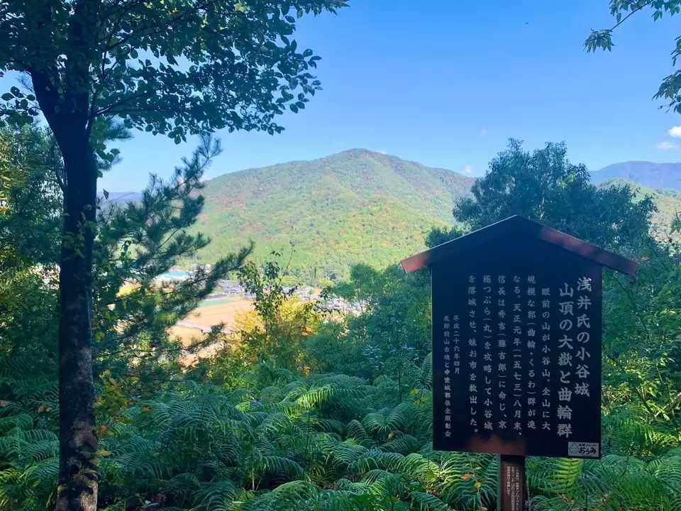 小谷山の写真