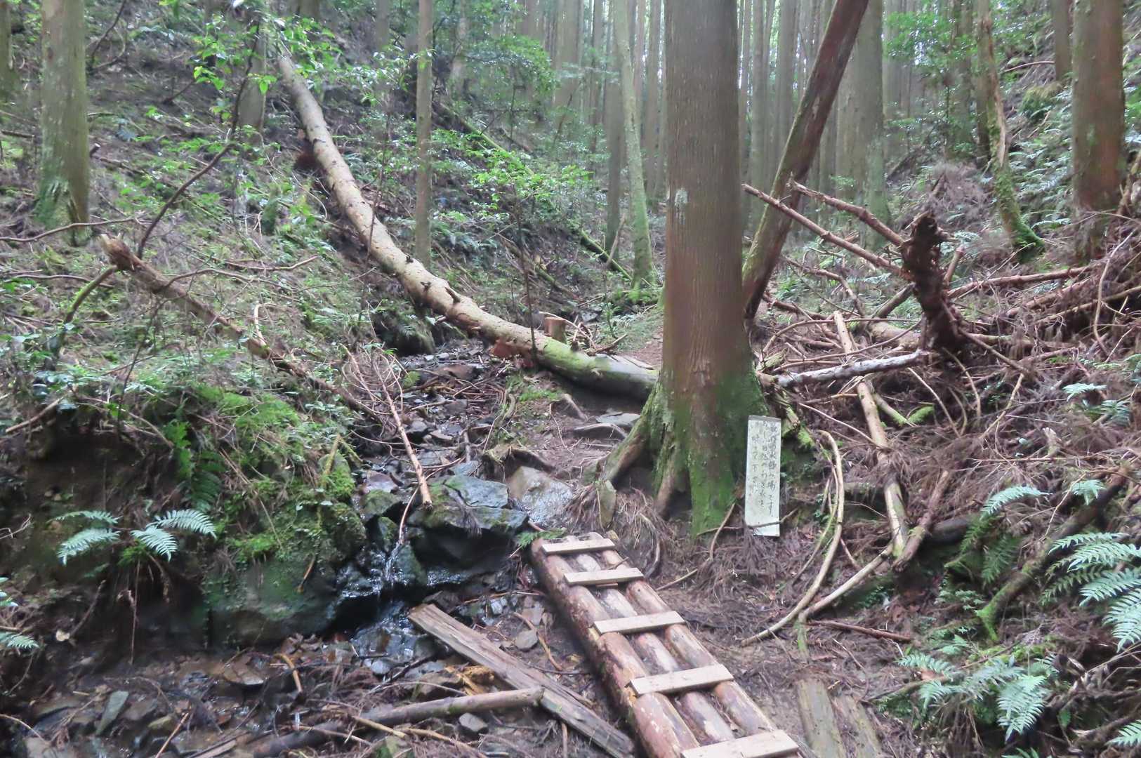 最後の水場ですが、水量は少ない