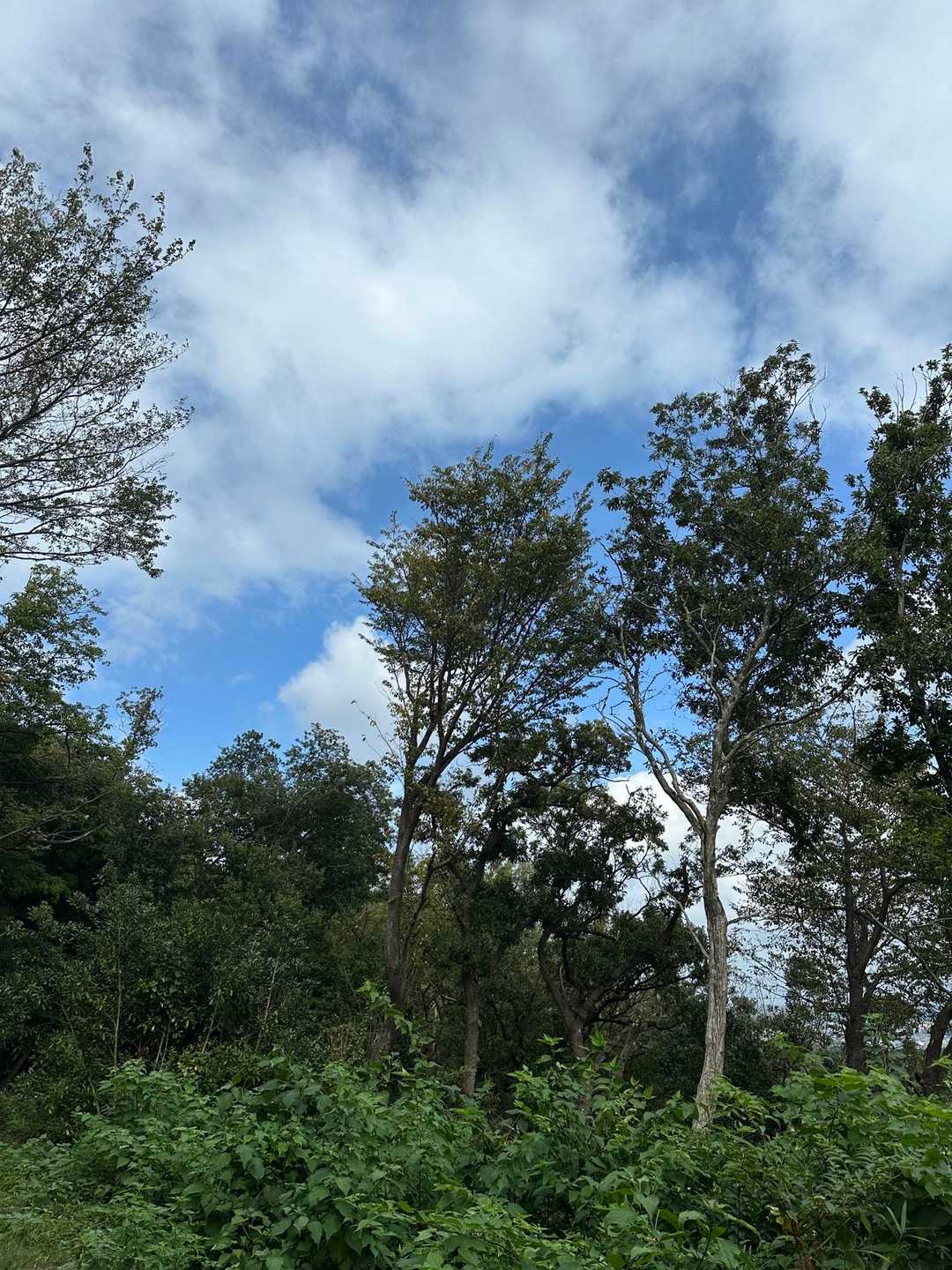 青空見えた。うれしく清々しい気持ち。