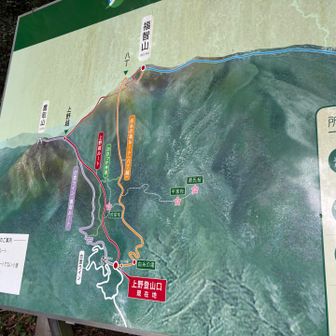 山で初めて四足歩行の生き物に遭遇しました☺️

蜂をそっと回避する私💦を、そっと回避するポテっとしたお尻の茶色い可愛い子🤎
そそくさと岩の間に入っていくお尻が可愛かった🥰たぬきかな？