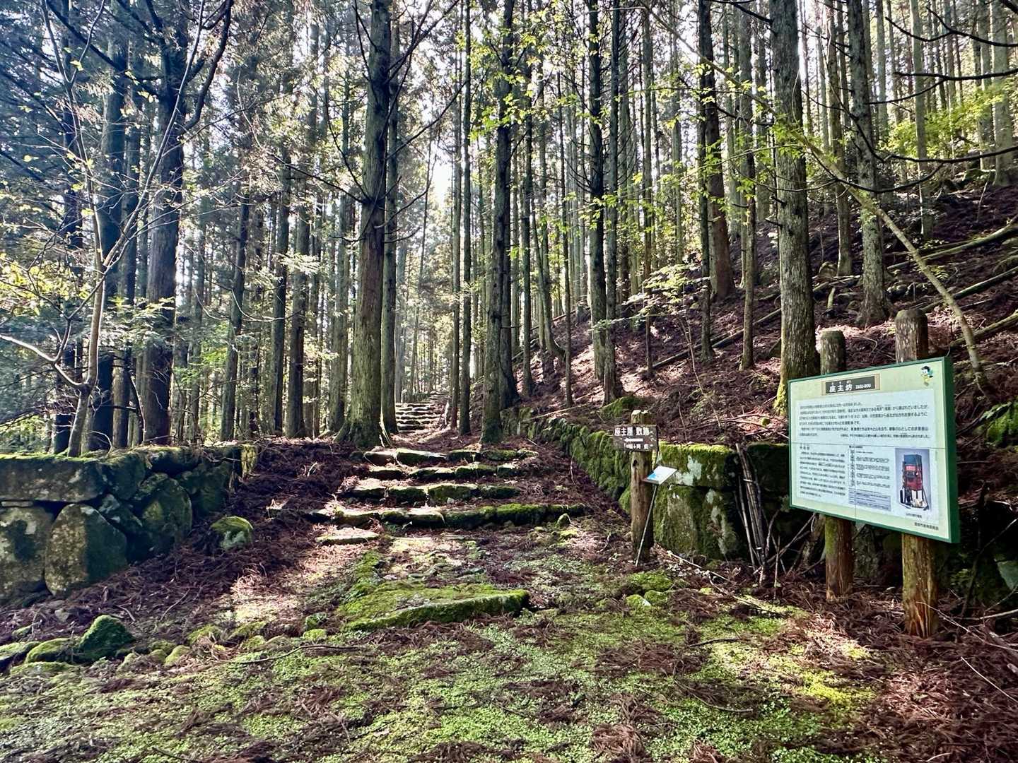 求菩提山 周回コースの写真