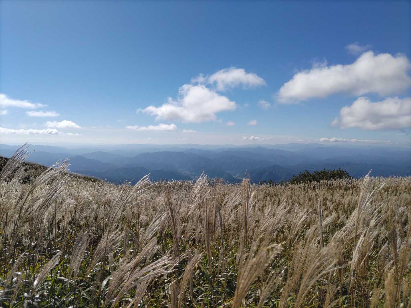 西の原登山口-男三瓶山 往復コースの写真