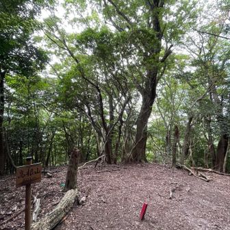 高根山の山頂