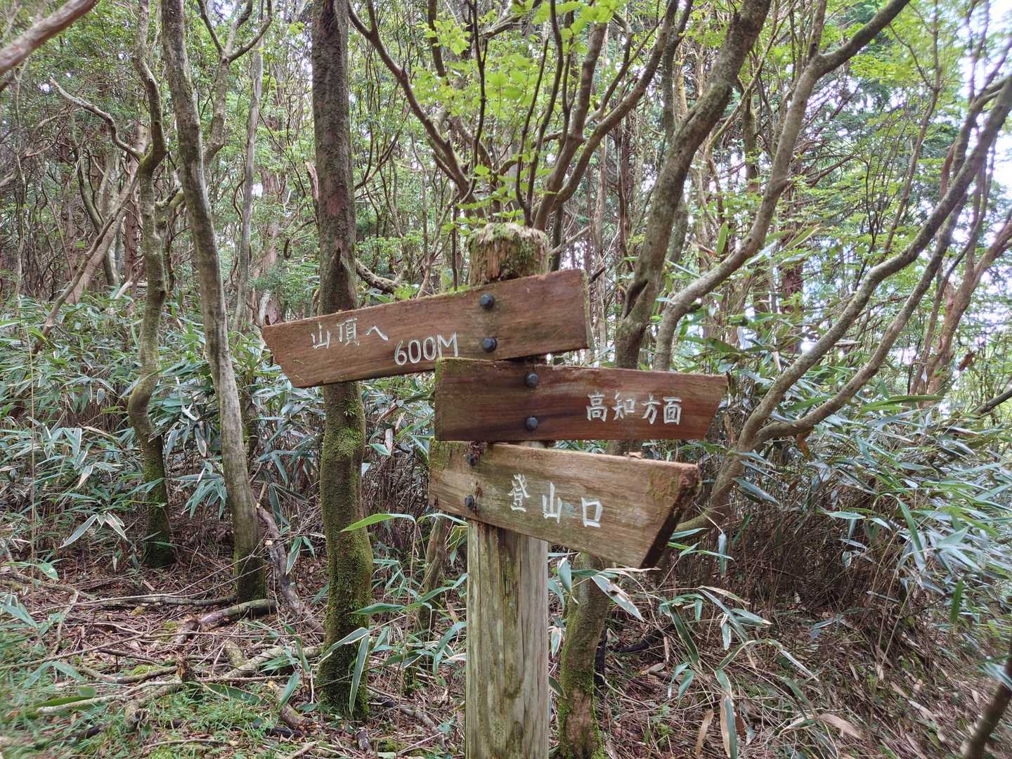 笹ヶ峰登山口-笹ヶ峰 周回コースの写真