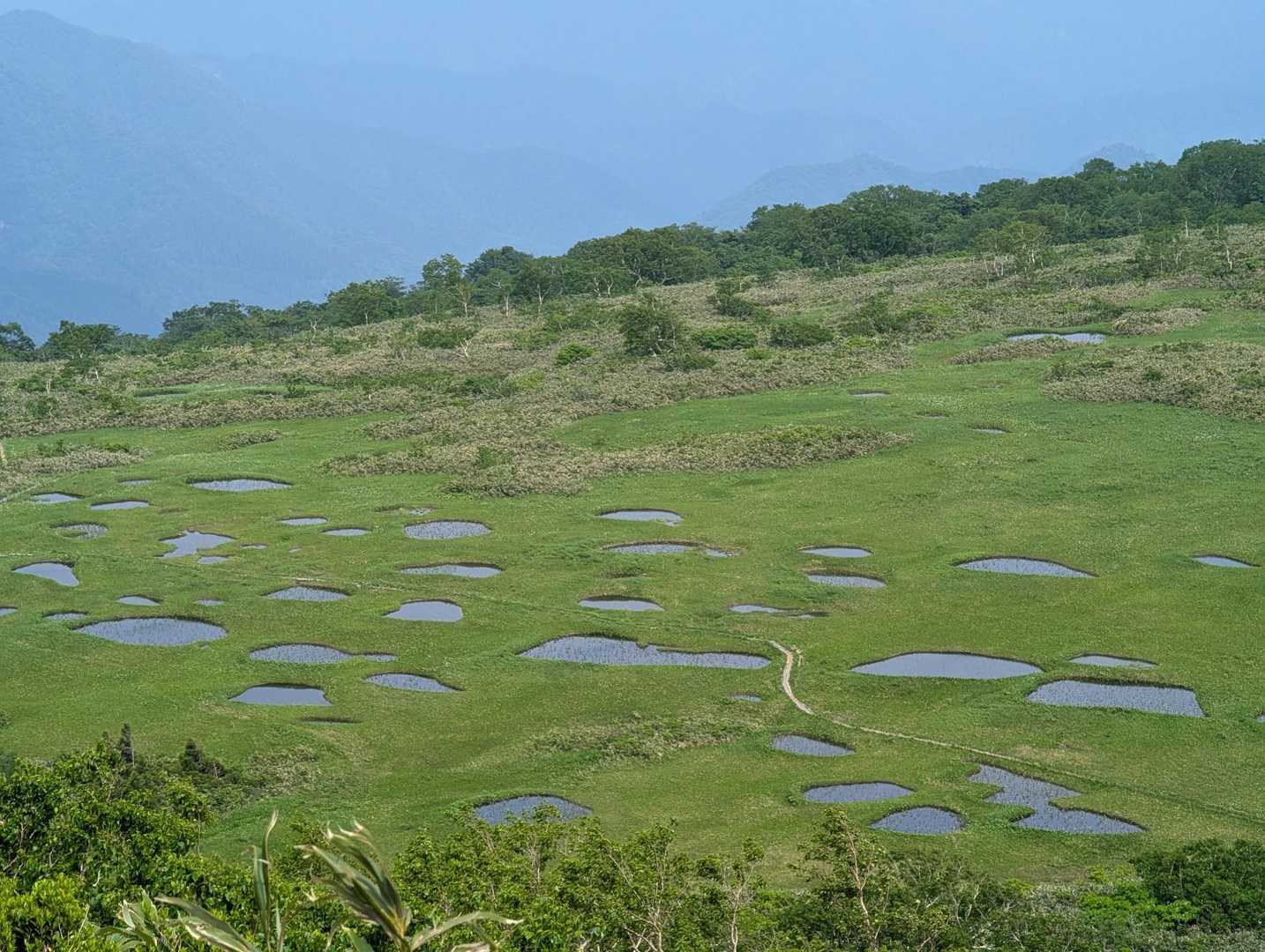 大広手登山口-田代岳 往復コースの写真