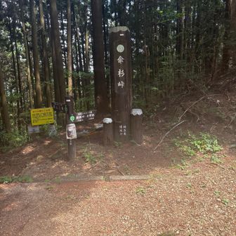 ここは特に何も…