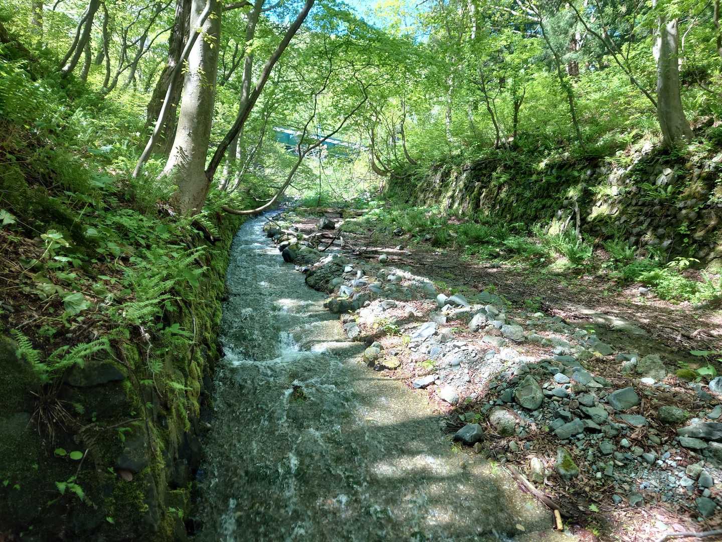 沢がある