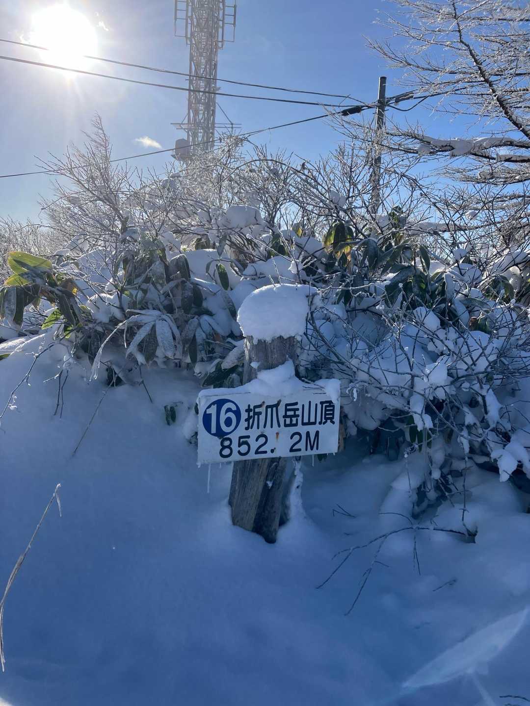 折爪岳 往復コースの写真