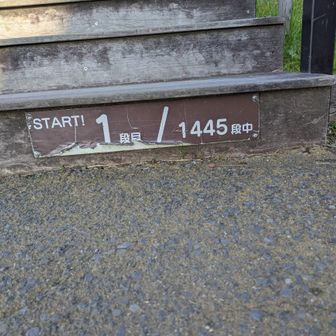 先ずは、1445段↑↑↑
