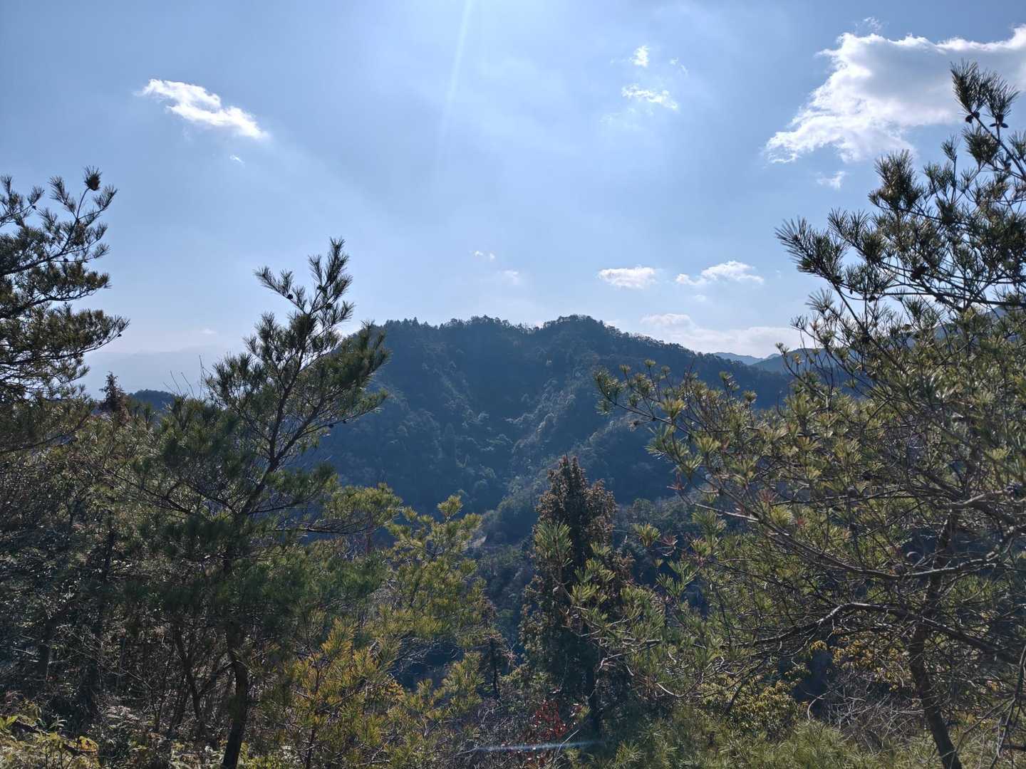 途中、先ほど登った大黒山の稜線を振り返る！