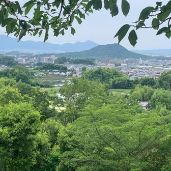向こうに見えるのが、大和三山の一つ畝傍山です