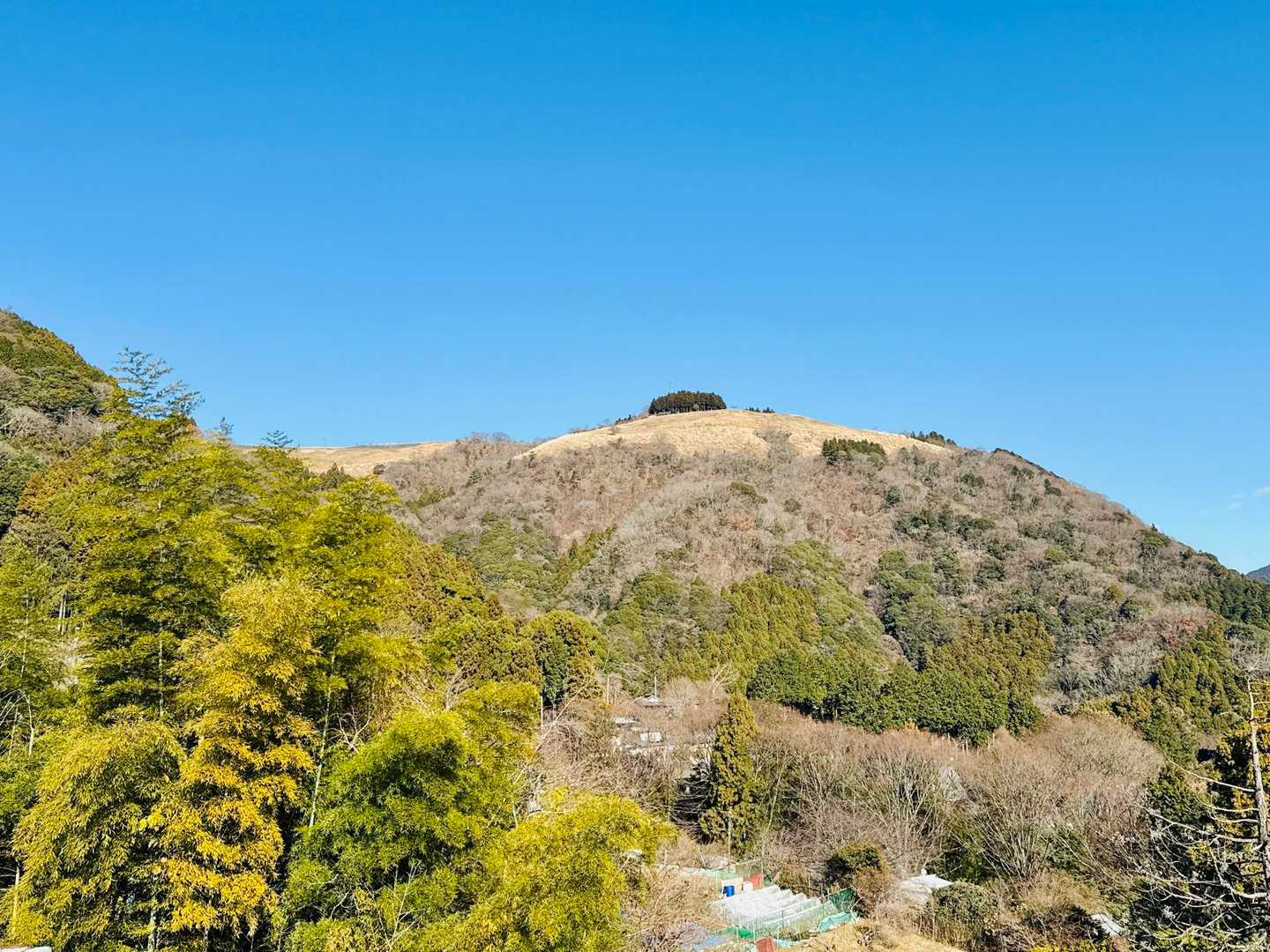 下から見た大野山 かわいい✨️
(*´﹀`*)