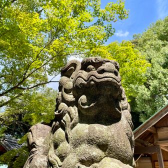 登頂(2回目)