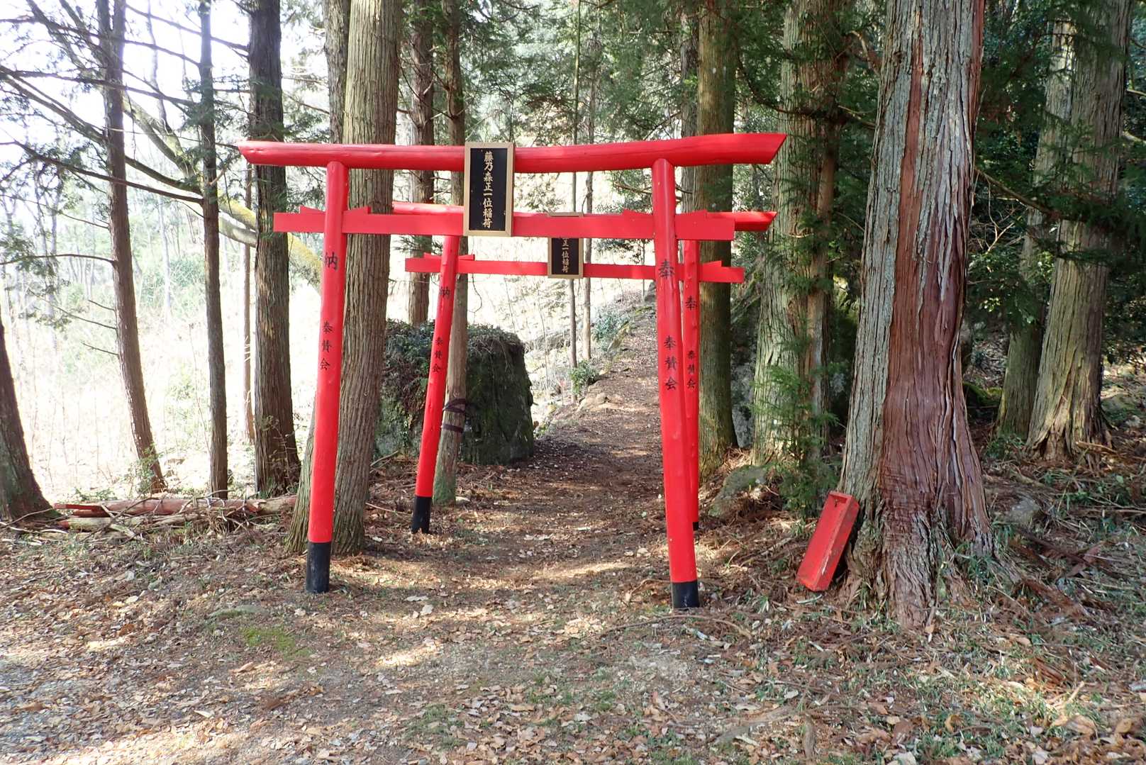 藤乃森稲荷。
