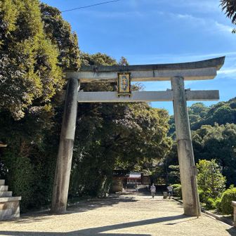 鳥居⛩️です