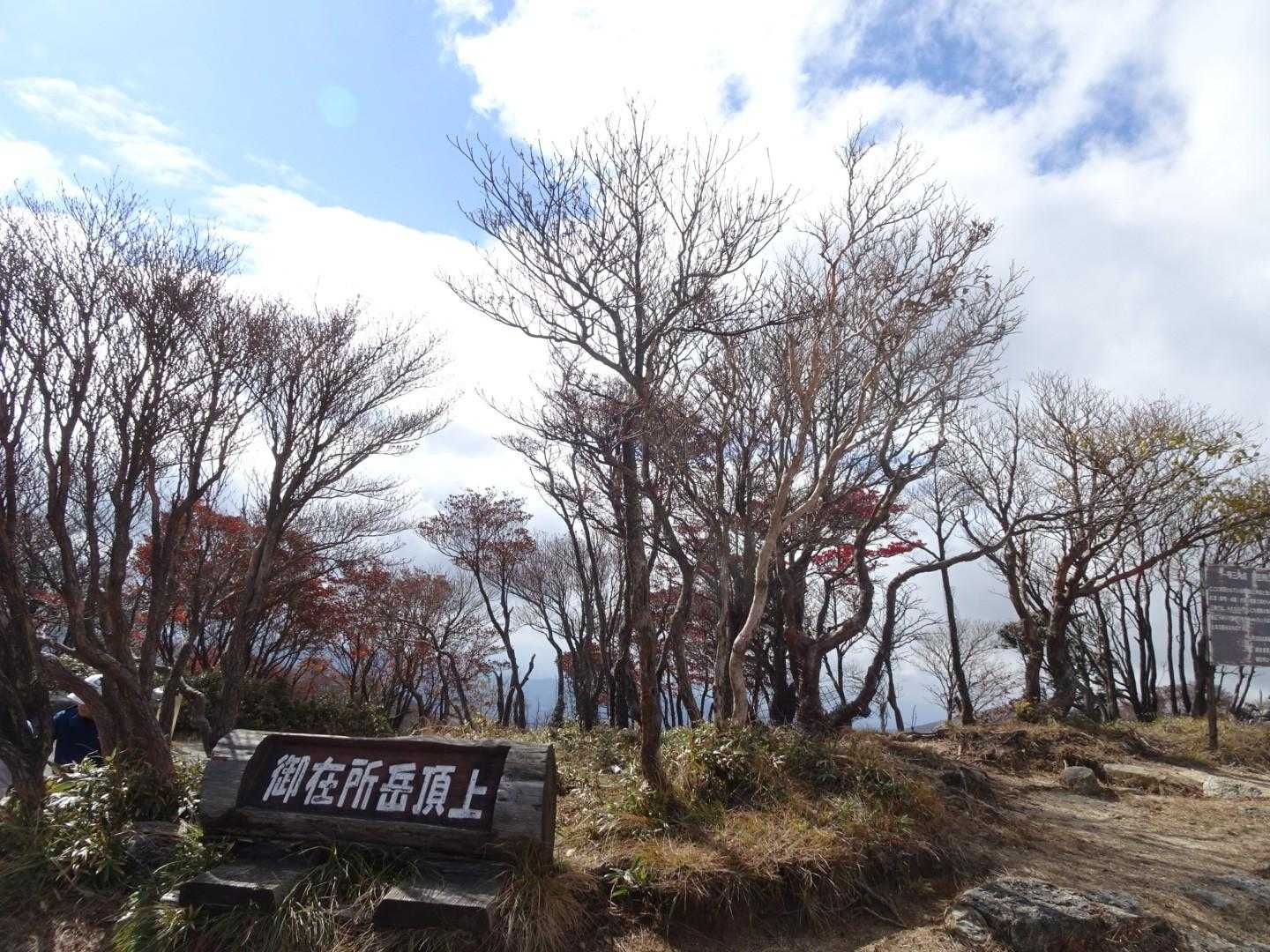 登頂😊