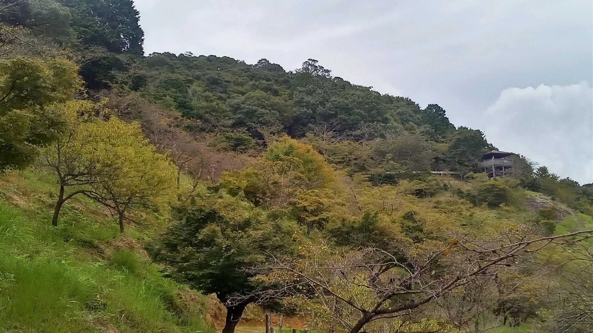 古城山登山口-古城山 往復コースの写真