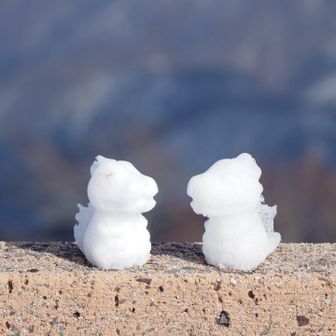 「冬のソナタ」思い出す🤣
ハマってたな〜🤣