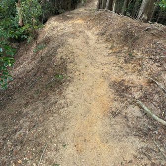 こういう砂の急登が所々あってズズッて滑るのよ〜😭