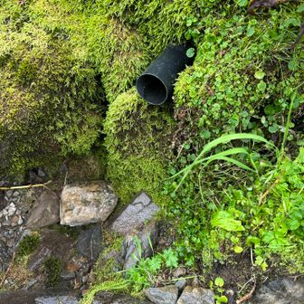 水場❓らしき場所2ヶ所は枯れてました。