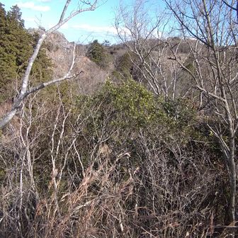 木々が落葉しているせいか見返り岩からの眺望もありました