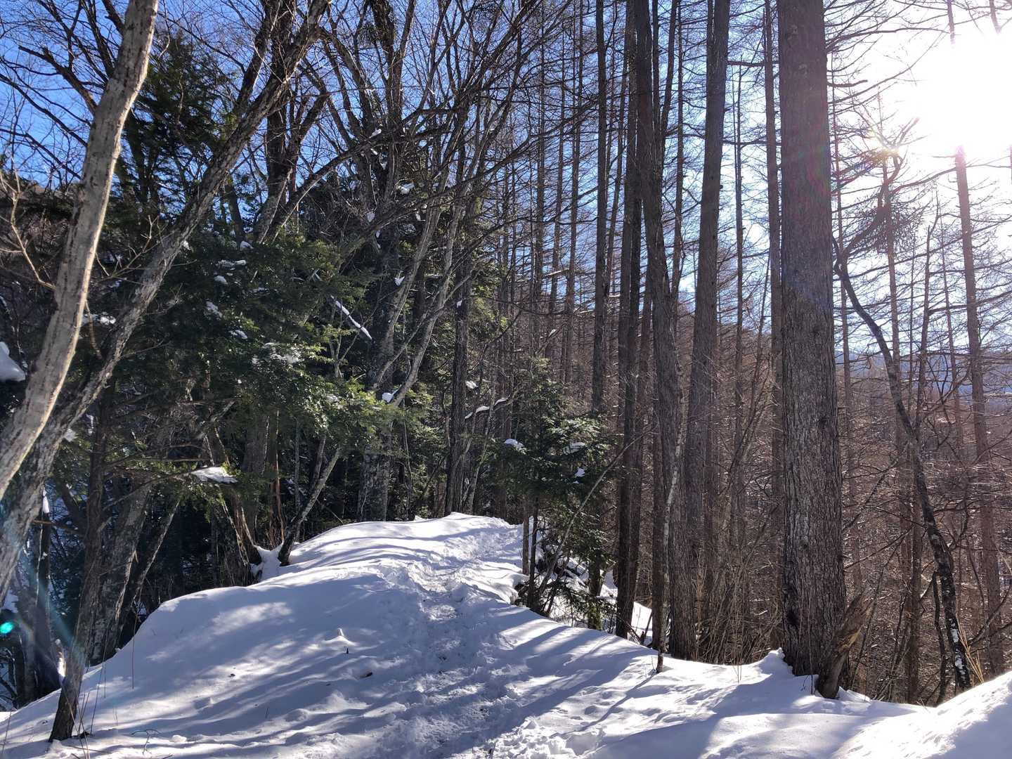 丸川峠-大菩薩嶺 往復コースの写真