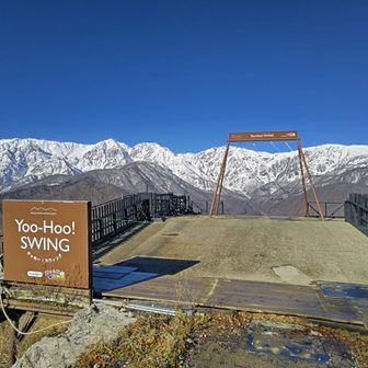 超人気のヤッホースイング🤓
後で撮ってくれるかな？