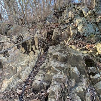 イワバきたー！