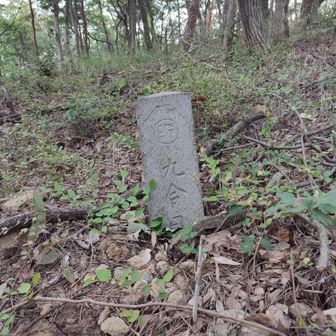 とか言ってるうちに
9合目