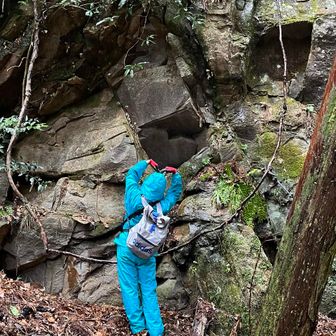 みずいろせいじん