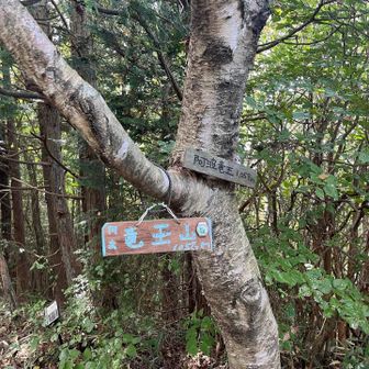 山頂