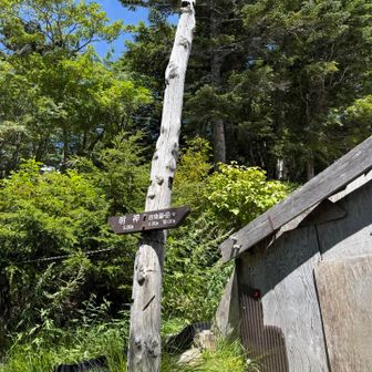 帰りは特に撮れ高もなく、熱中症にならないようにペースだけ落とし気味で徳本峠小屋へ！
飲み物残り300mlちょっとになってしまって危なかった😅