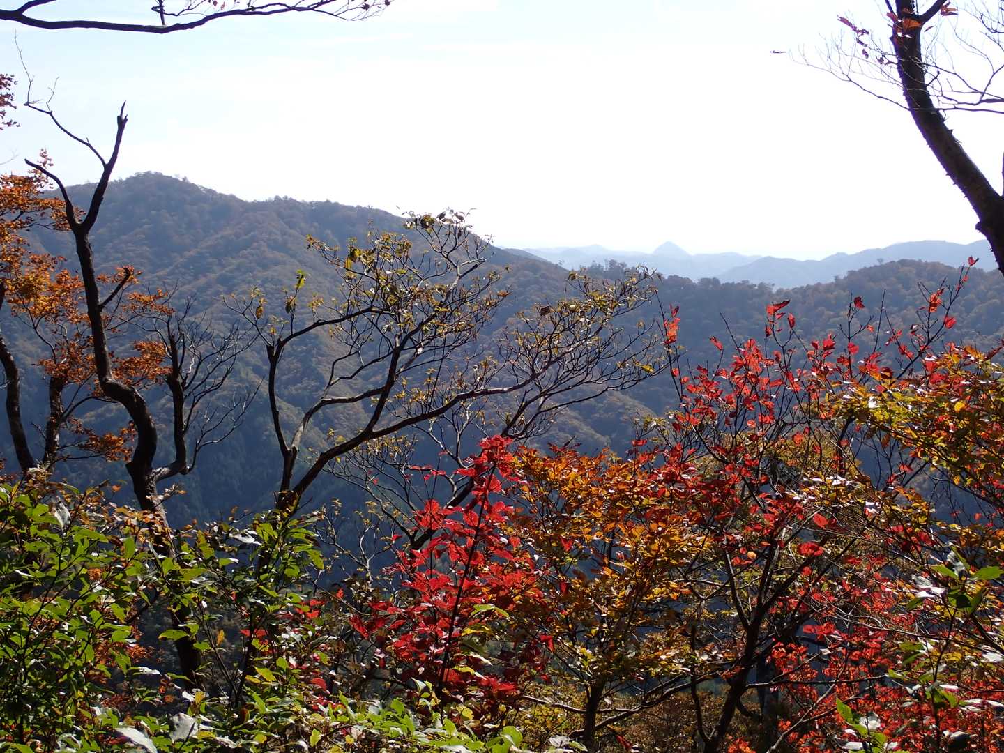 南側の眺望が！
ん？？⛰👀　奥のとんがり山が気になるー！