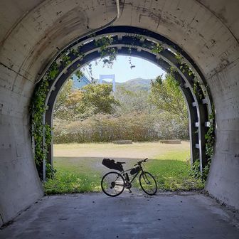 バリバリばりぃ