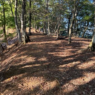 山頂付近までくるとやっと平坦に