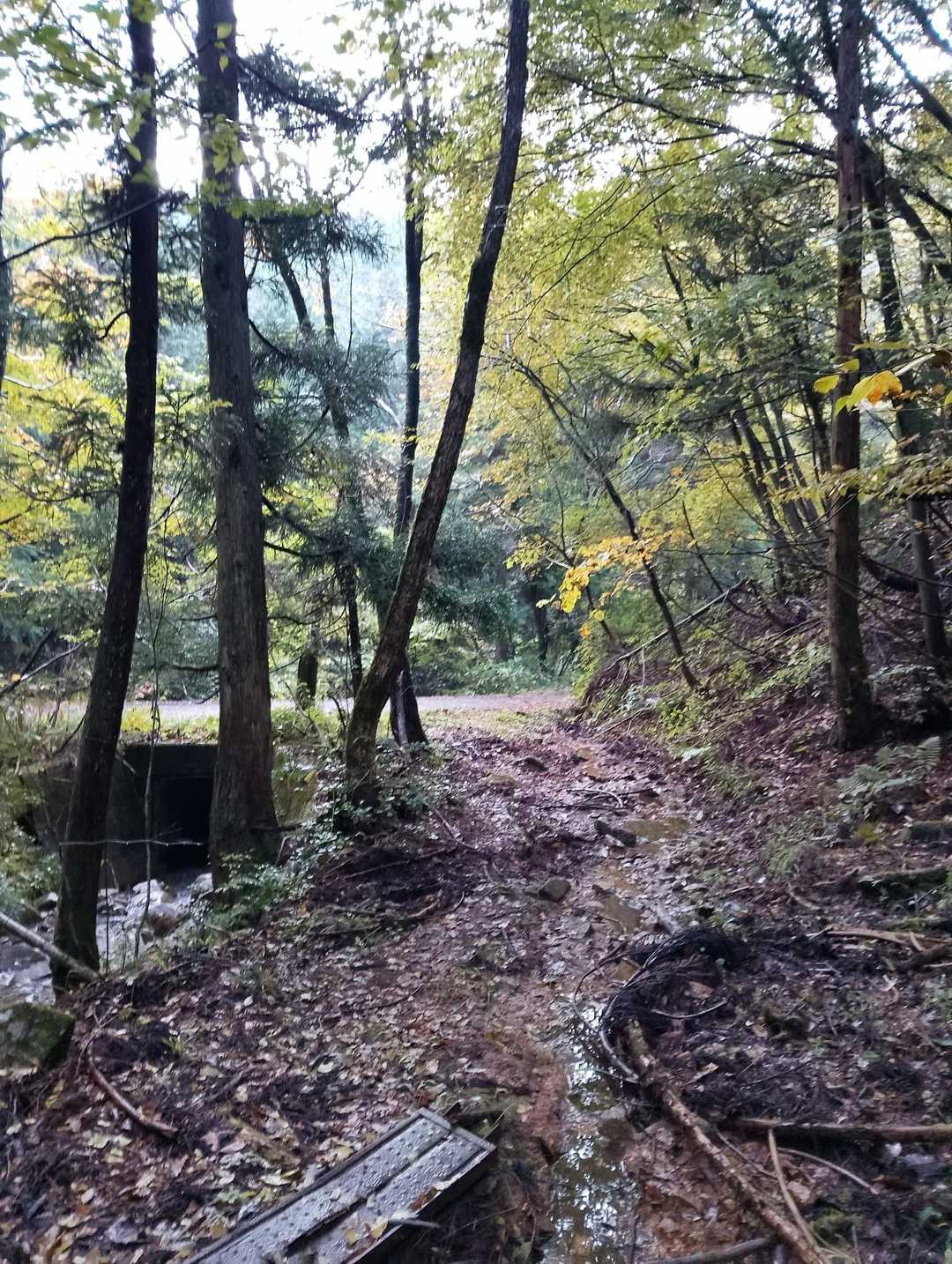 お疲れさまでした✨

次は大佐山スキー場へ向かいます🚙