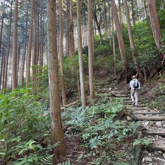 しばらくはなだらかな階段が続きます
