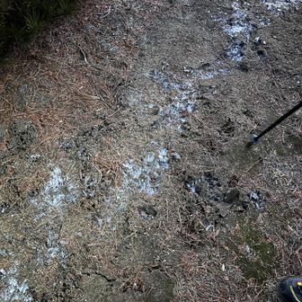 霜柱　臼杵ヶ岳山頂にて