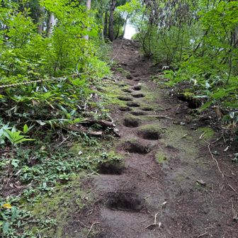 山頂へ