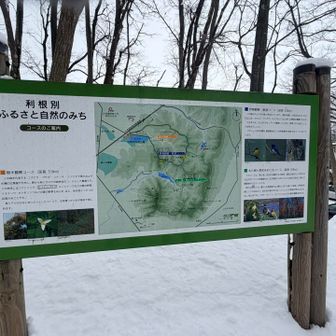 自然公園の入り口には散策路とここで見られる野鳥の紹介看板あり🪧