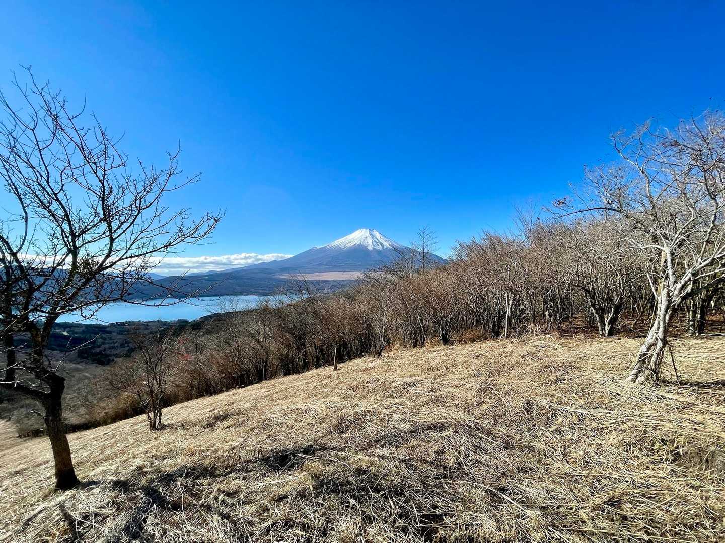 大窪山から